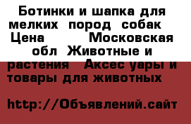 Ботинки и шапка для мелких  пород  собак  › Цена ­ 400 - Московская обл. Животные и растения » Аксесcуары и товары для животных   